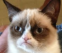 grumpy_cat.png